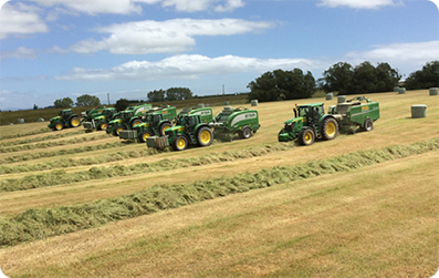 classification image