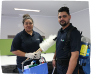 classification image