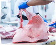 classification image