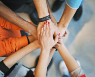 classification image