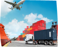 classification image