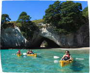 classification image